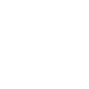 紙媒体