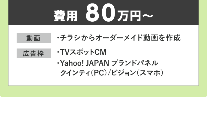 費用80万円〜