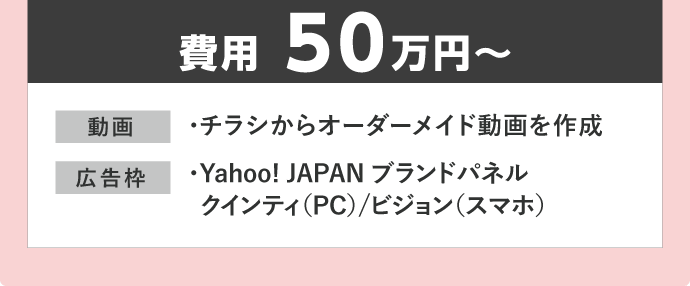 費用50万円〜