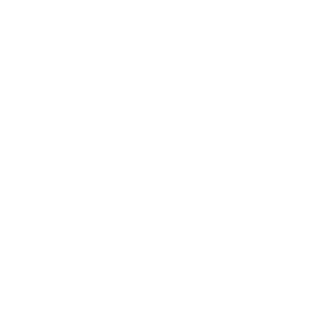 全体設計