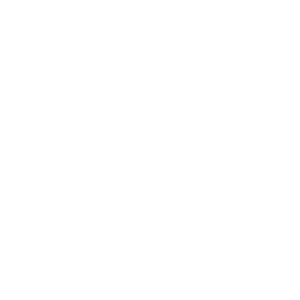 インフルエンサー起用