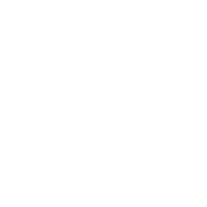 データ解析